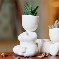 набор для выращивания eco йог в Уфе