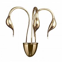 бра lightstar cigno collo 751632 в Уфе