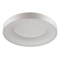 потолочный светодиодный светильник odeon light sole 4062/80cl в Уфе