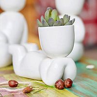 набор для выращивания eco мечтатель в Уфе