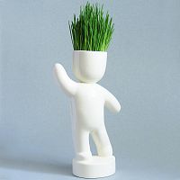набор для выращивания eco победитель в Уфе