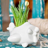 набор для выращивания eco самолет в Уфе