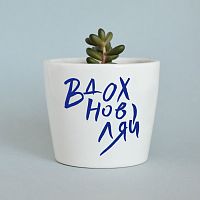 набор для выращивания eco мини-кашпо «вдохновляй» в Уфе