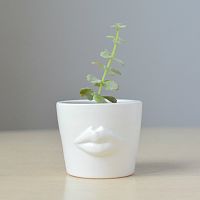 набор для выращивания eco мини-кашпо «губы» в Уфе
