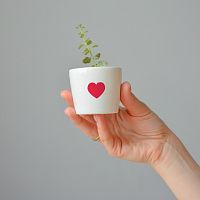 набор для выращивания eco мини-кашпо «сердце» в Уфе