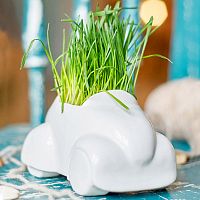 набор для выращивания eco машина в Уфе