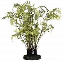 декор ferns в Уфе