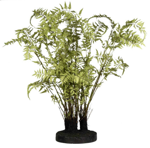декор ferns в Уфе