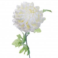 хризантема белая 63 см (24) в Уфе