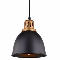 подвесной светильник arte lamp eurica a4245sp-1bk в Уфе