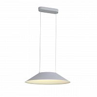 подвесной светодиодный светильник st luce pitto sl427.513.01 в Уфе