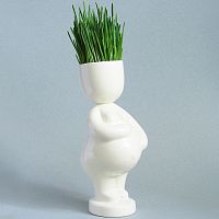 набор для выращивания eco мама в Уфе