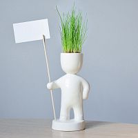 набор для выращивания eco знаменосец в Уфе