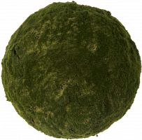 декор moss sun в Уфе